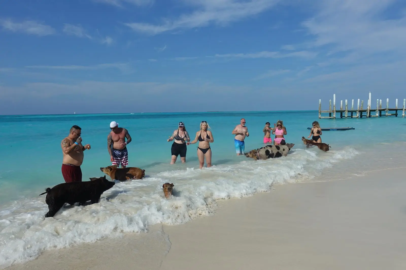 Group of guests enjoying a private catamaran charter with Seas N' Cays in Nassau