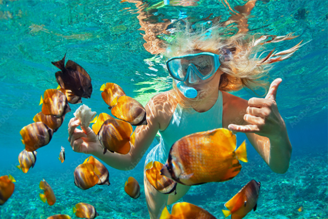 Snorkeling Spots Around Nassau Bahamas