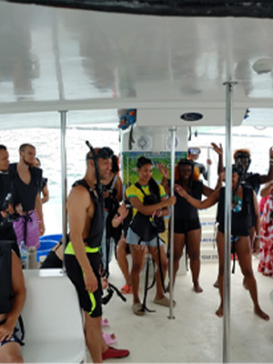 Snorkeling Nassau Bahamas With Seas N Cays Tour